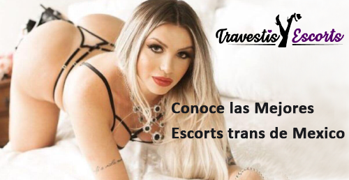 Travestis Mexico